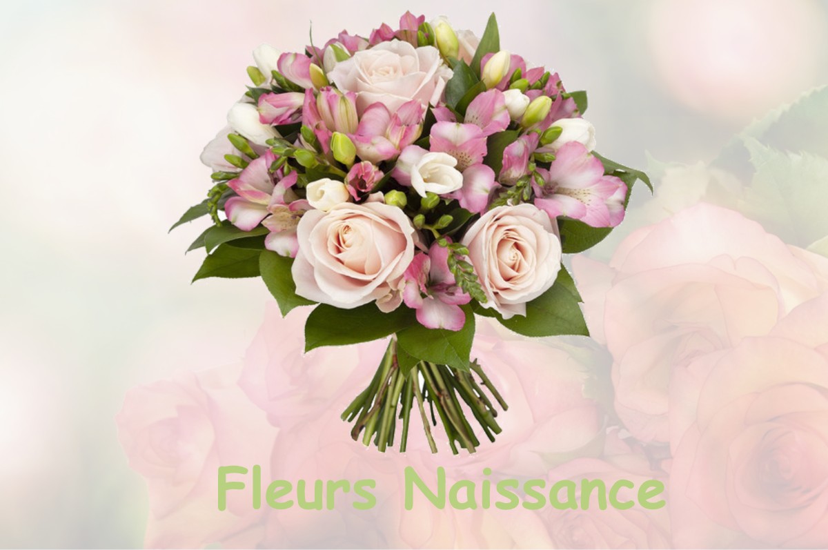 fleurs naissance FRESNES-MAZANCOURT